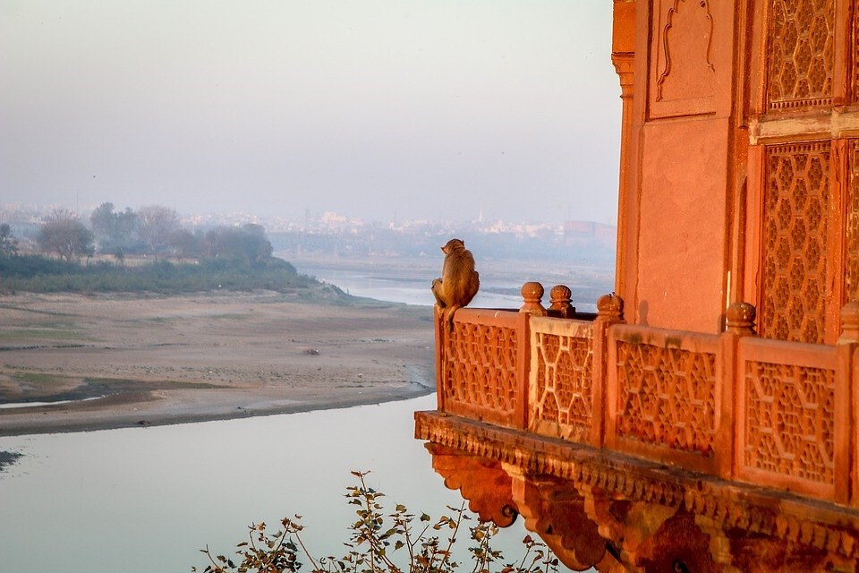 India on $20 a Day: Costs, Food & Where to Go